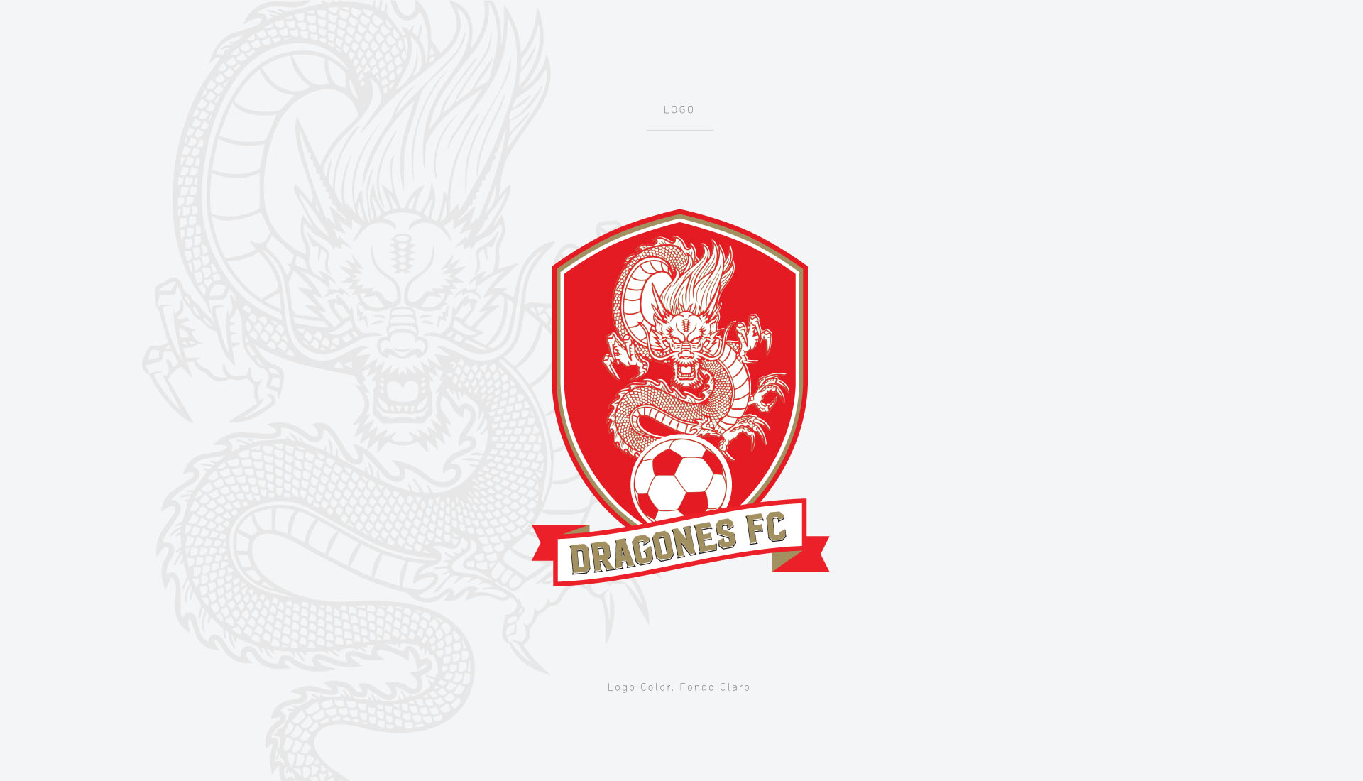 Dragones Futbol Club