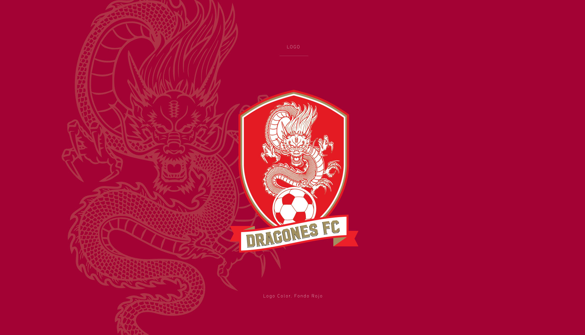 Dragones Futbol Club
